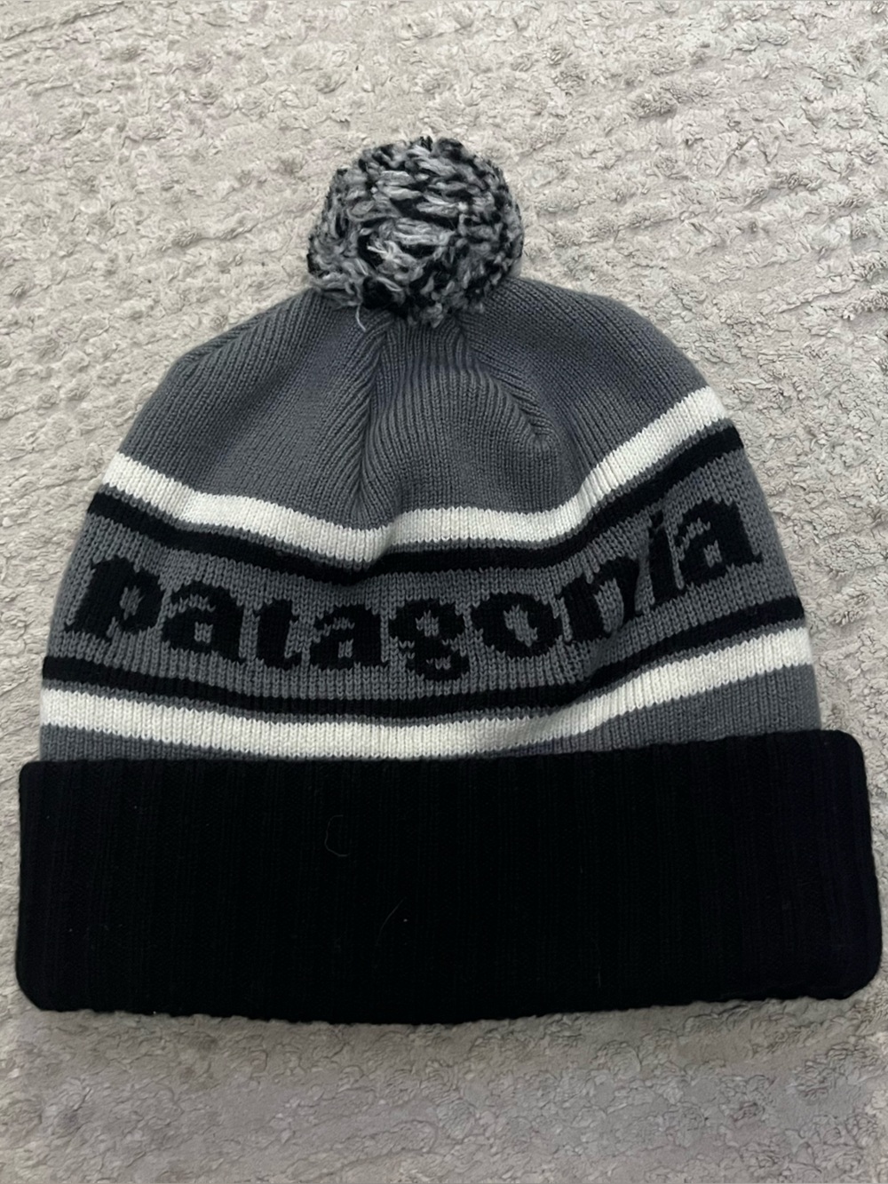 Patagonia Beanie